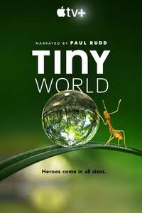 Tiny World - Posters