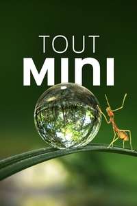 Tiny World - Posters