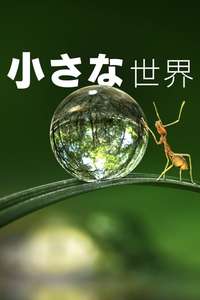 Tiny World - Posters