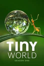 Tiny World Season 1