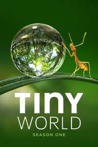 Tiny World - Posters