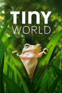 Tiny World - Posters