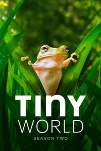 Tiny World - Posters