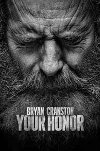Your Honor - Posters