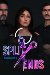 Split Ends Season 1