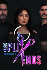 Split Ends - Poster