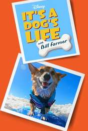 It's A Dog's Life Season 1