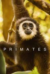 Primates Season 1
