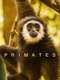 Primates : Season 1