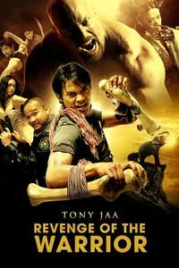 The Protector - Poster