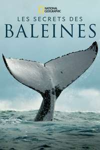 Secrets of the Whales - Posters