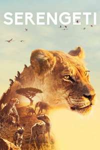 Serengeti - Posters