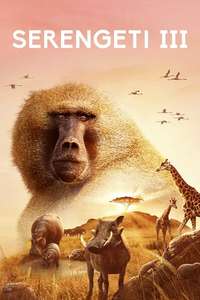 Serengeti - Posters