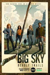 Big Sky - Posters