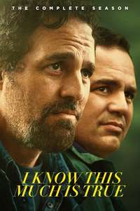 I Know This Much Is True - Posters