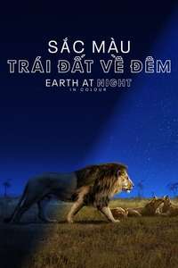 Earth At Night In Color - Posters