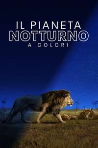 Earth At Night In Color - Posters