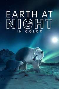 Earth At Night In Color - Posters