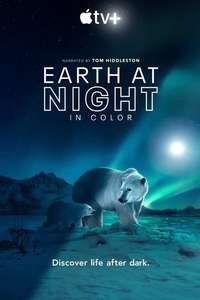 Earth At Night In Color - Posters