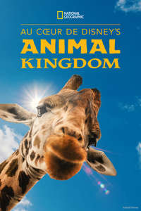 Magic of the Animal Kingdom - Posters
