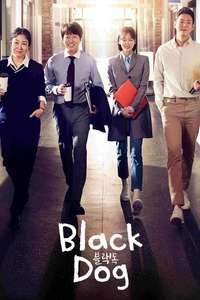 Black Dog - Poster