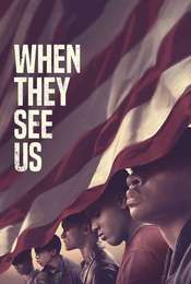 The Central Park Five Season 1