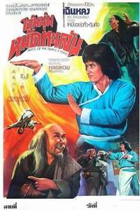 Snake and Crane Arts of Shaolin - Poster