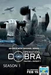 Operation Cobra Season 1