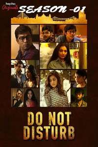 Do Not Disturb - Posters