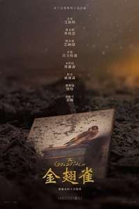 The Goldfinch - Posters