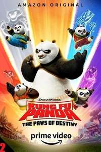 Kung Fu Panda: The Paws of Destiny - Posters