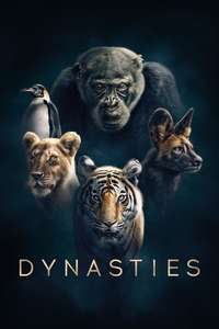 Dynasties - Posters