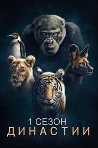 Dynasties - Posters