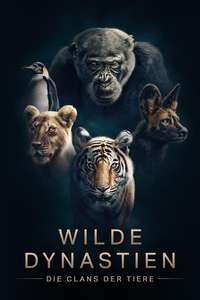 Dynasties - Posters
