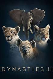 Dynasties Dynasties II