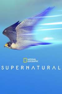 Super/Natural - Posters