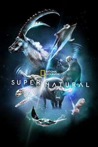 Super/Natural - Posters