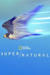 Super/Natural Season 1