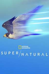 Super/Natural - Posters