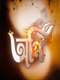 Agni