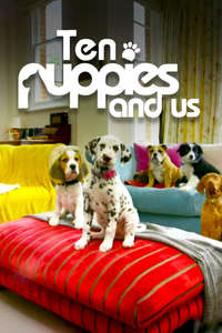 10 Puppies and Us - Poster