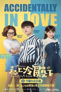 Accidentally in Love - Posters