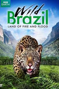 Wild Brazil - Poster