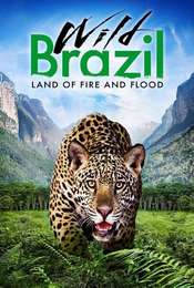 Wild Brazil Season 1