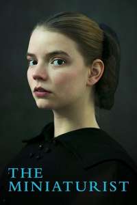 The Miniaturist - Posters