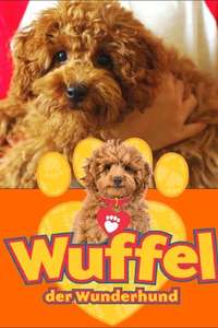 Waffle the Wonder Dog - Posters