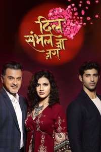 Dil Sambhal Jaa Zara - Posters