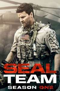 SEAL Team - Posters