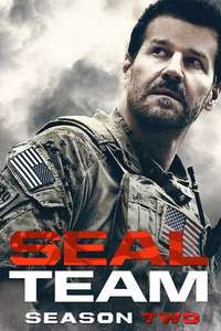 SEAL Team - Posters