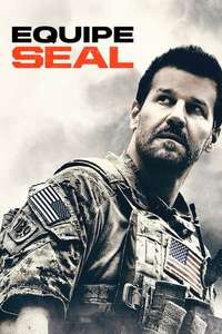 SEAL Team - Posters